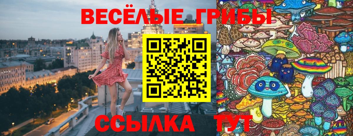 Псилоцибиновые грибы Magic Shrooms Кохма