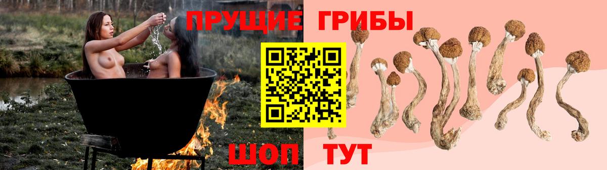 Кохма  где купить   Вход с VPN  Галлюциногенные грибы Psilocybine cubensis 